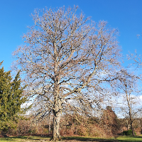 Membre Galaxie385893