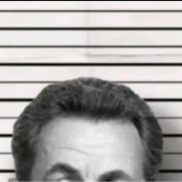 Membre Pasiphaé43687