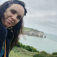 Membre ShoemakerLevy401210