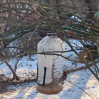 Membre Planète350206