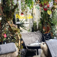 Membre Starship908608