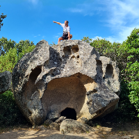 Membre Shuttle260553